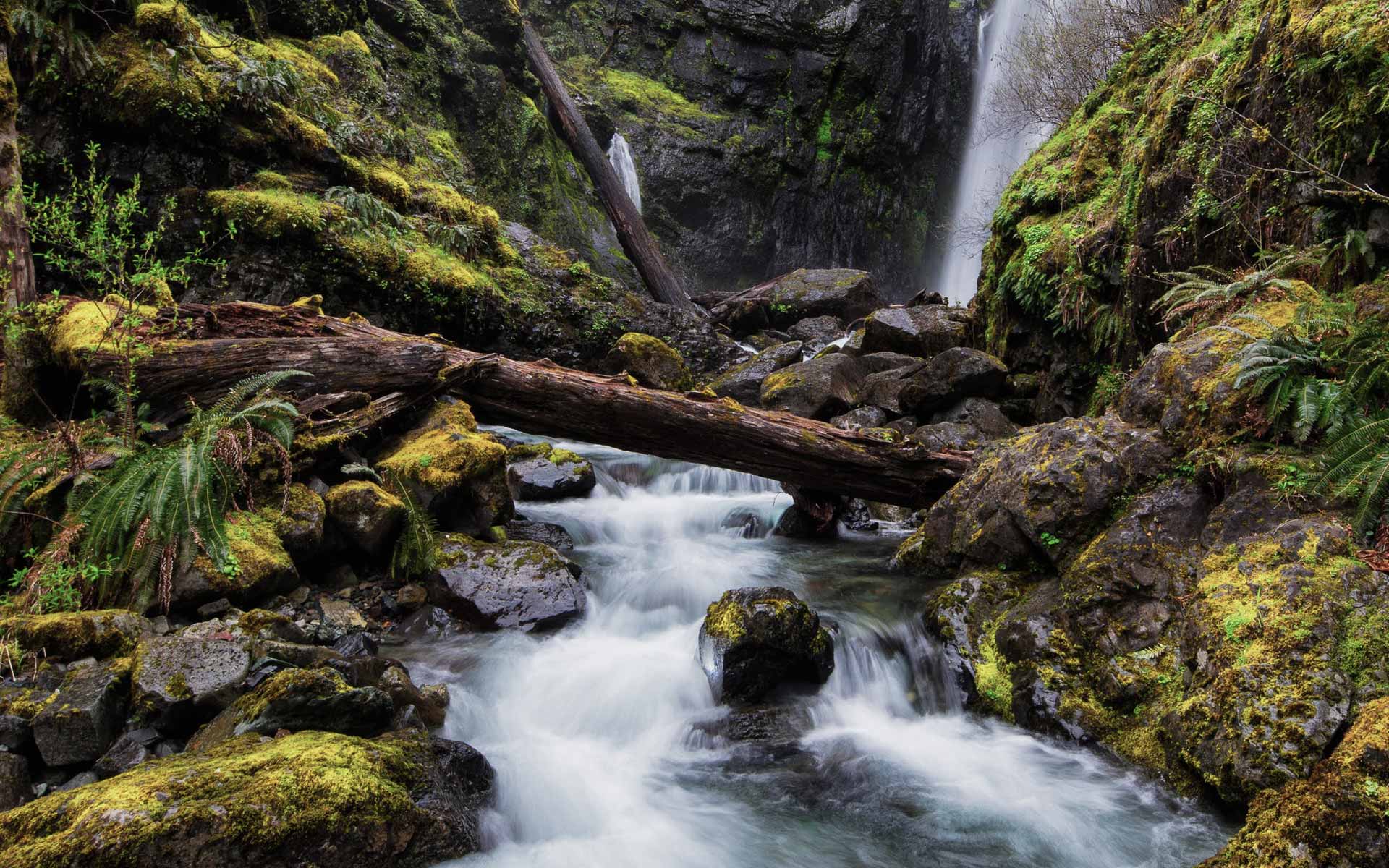 Respira aire puro y sumérgete en la magia de un paisaje encantador